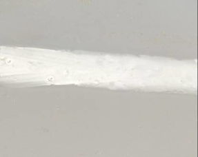 紫禁城漆業(yè) 實現(xiàn)鋼結(jié)構(gòu)重防腐涂料水性化